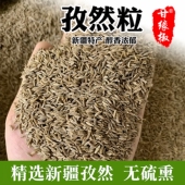 新疆孜然颗粒干净精选烧烤调料孜然可打粉撒料烤肉调料