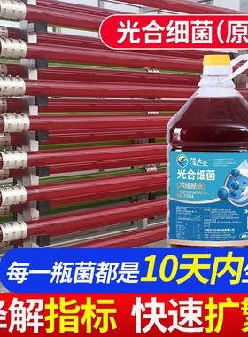 光合细菌种子培养基原液水产养殖扩培鱼缸虾蟹塘降PH氨氮亚硝酸盐