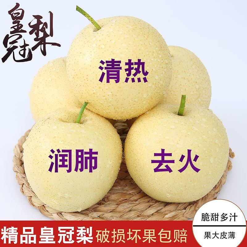 正宗河北赵县皇冠梨子新鲜水果当季脆甜多汁梨白梨子非雪梨产地直图片