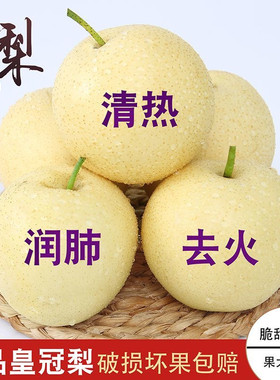 正宗河北赵县皇冠梨子新鲜水果当季脆甜多汁梨白梨子非雪梨产地直