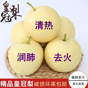 正宗河北赵县皇冠梨子新鲜水果当季脆甜多汁梨白梨子非雪梨产地直