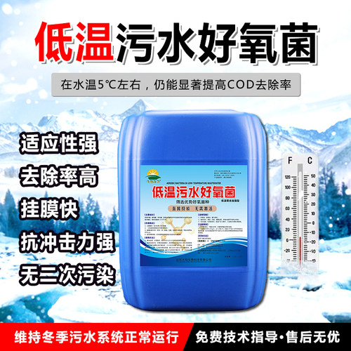 低温菌降COD污水处理菌快速挂膜
