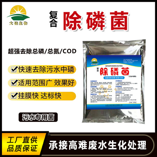 污水处理菌种污泥活性菌污水菌种