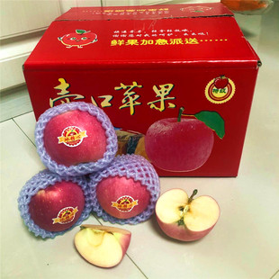 山西水果吉县壶口苹果当季红富士脆甜冰糖心带箱10斤现摘顺丰包邮