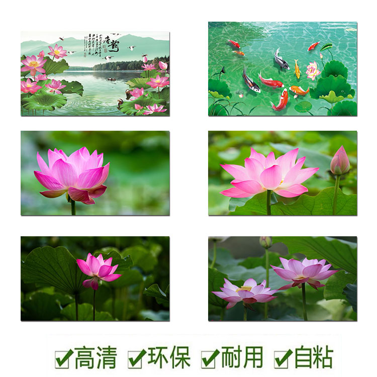 自粘荷花图莲荷叶风景贴画佛堂中堂背景装饰宿舍玻璃门白莲粉荷