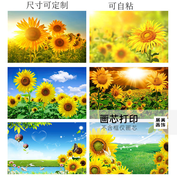 蓝天白云向日葵横版自粘可自粘