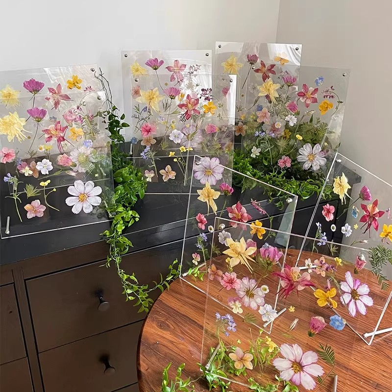 亚克力压花相框diy材料包手工植物标本干花母亲教师节礼物毕业季