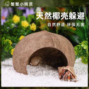 寄居蟹天然椰壳窝带梯小窝躲避洞穴造景装饰超大口径自然风造景
