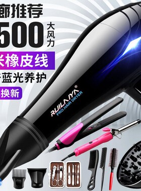 瑞莱雅吹风机7500大功率发廊专用