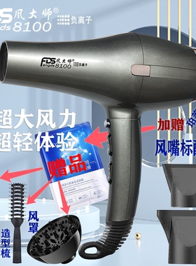风大师8100诺德仕8100吹风机负离