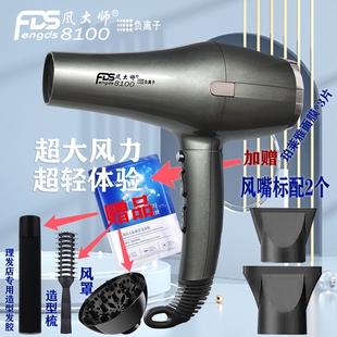 风大师8100诺德仕8100吹风机负离大功率电风机电风筒电吹风子