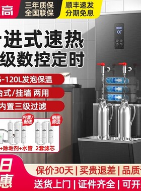 志高步进式开水器商用电热烧水开