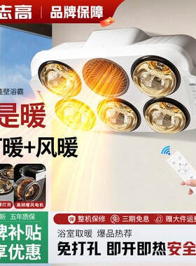志高壁挂式六灯暖浴霸卫生间浴室