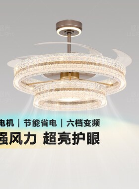 天鹅湖风扇灯2026新款客厅吊灯主