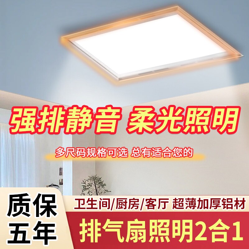 排气扇灯二合一照明300x600换气