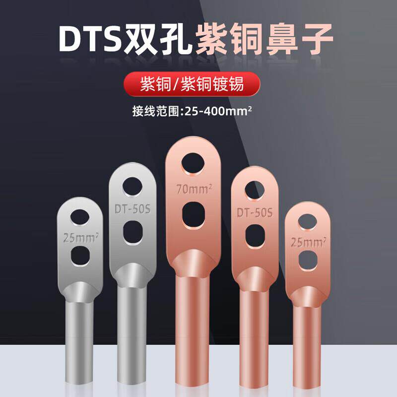百舸双孔铜鼻子接线端子双孔紫铜DTS-185BGL1449