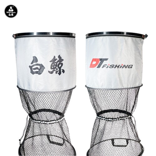 白鲸鱼护不锈钢加固大力马涂胶
