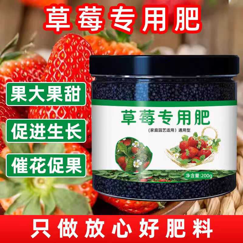 草莓肥料专用心动声音包邮
