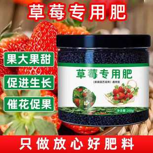 草莓肥料专用肥有机复合肥钙肥家用室内蓝莓盆栽草莓颗粒缓释肥料