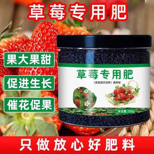 草莓肥料专用心动声音包邮