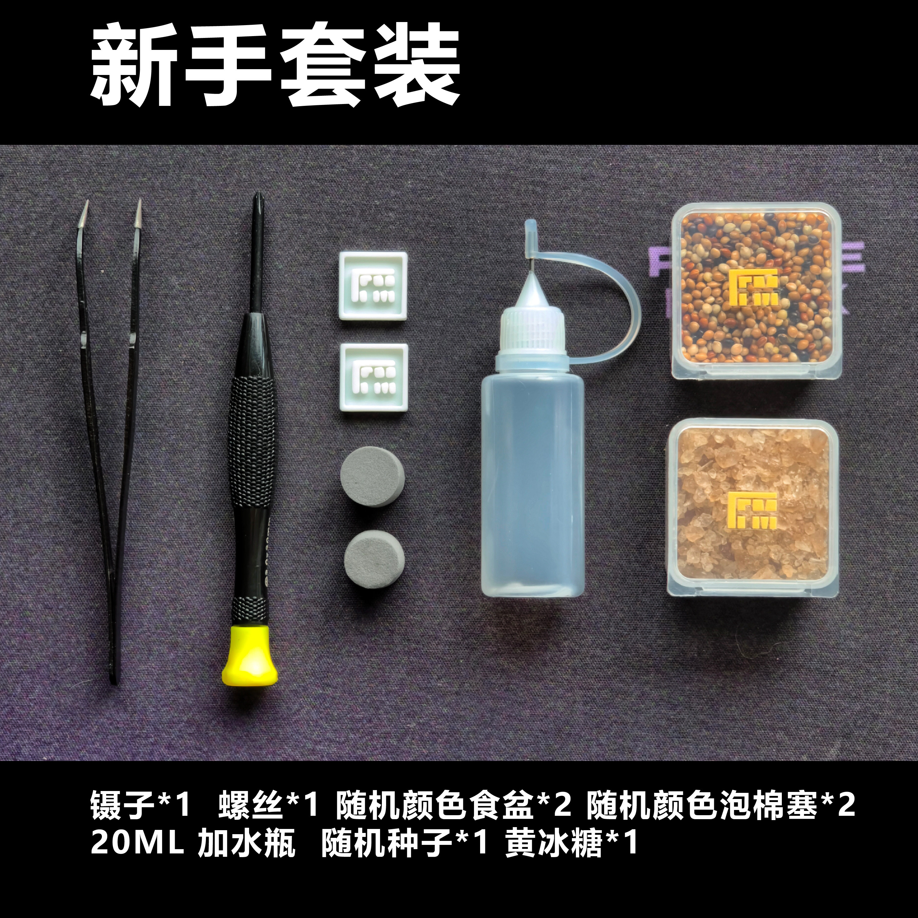 自然实验室蚁巢：养蚂蚁新手套装含喂食盆