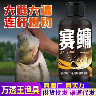 抖音爆款浮钓鲢鳙钓鱼小药赛鲢鳙刀湖库大胖包头花白鲢雄鱼饵窝料