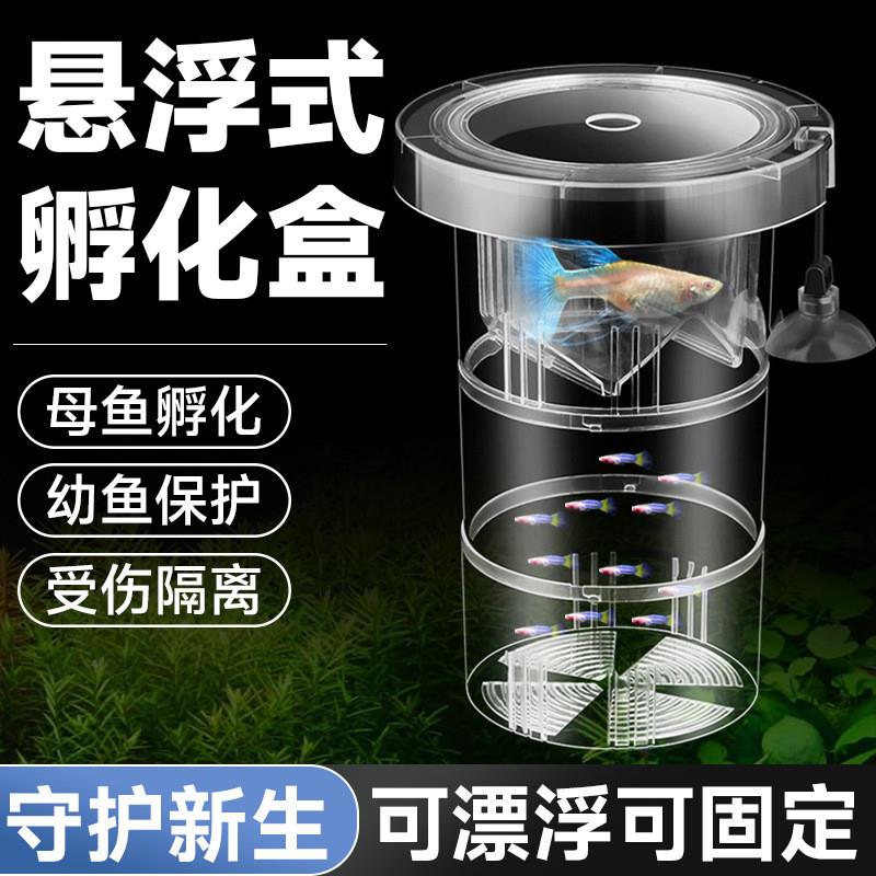 抖音爆款鱼缸孔雀鱼孵化器繁殖盒亚克力隔离盒热带鱼孵化产卵器鱼