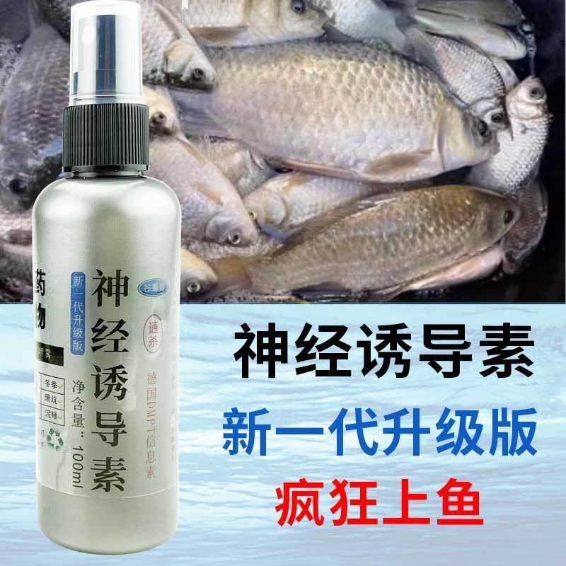 抖音爆款钓鱼黑坑小药垂钓用品钓饵料添加剂鲫鲤草诱鱼剂活,户外/登山/野营/旅行用品,活饵/谷麦饵等饵料,淘宝优惠券,粉丝福利购,淘宝优惠卷