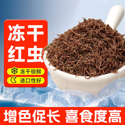 抖音爆款饲料观赏鱼孔雀鱼热带鱼食小型鱼开口鱼食丰年虾斗鱼鱼粮