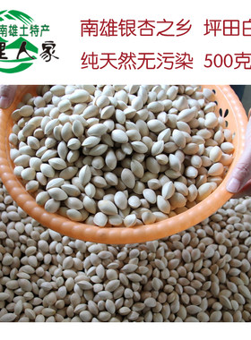 韶关南雄粤北特产正宗千年白果
