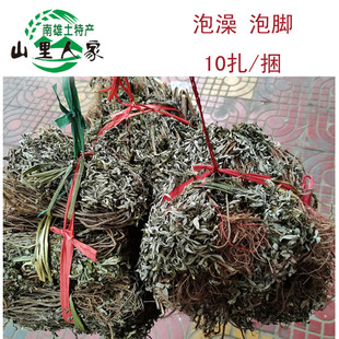韶关粤北南雄月子熬水煮水去风祛寒湿艾叶艾草10扎姜苗泡脚野生