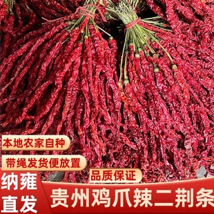 贵州特产大方皱椒二荆条农家肉厚干辣椒种子线椒鸡爪辣红辣椒500g