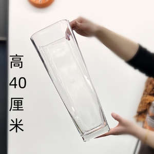 富贵竹玻璃花瓶透明插花客厅摆件