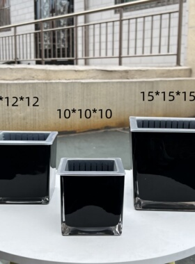 黑色正方形玻璃花瓶水培绿萝铜钱草白掌红掌植物水养绿植插花摆件