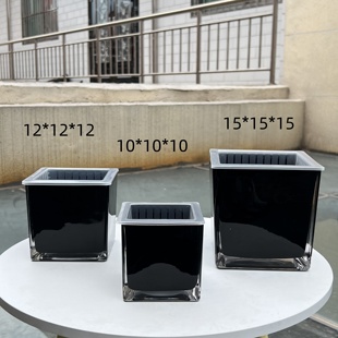 黑色正方形玻璃花瓶水培绿萝铜钱草白掌红掌植物水养绿植插花摆件