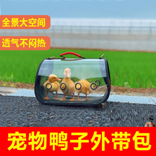 养鸭子的箱柯尔外出笼装小
