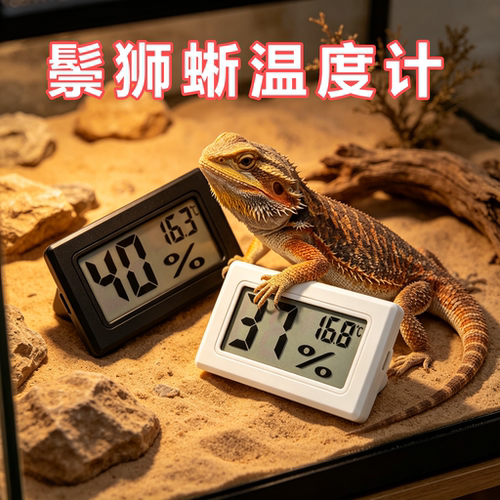 鬃狮蜥专用嵌入式温湿度计爬宠数显温湿表数显饲养箱造景装饰守宫
