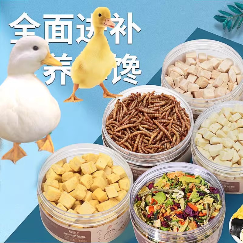 宠物用品柯尔鸭零食小子吃