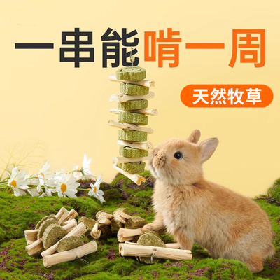 宠物垂耳侏儒兔用品小黄鸭