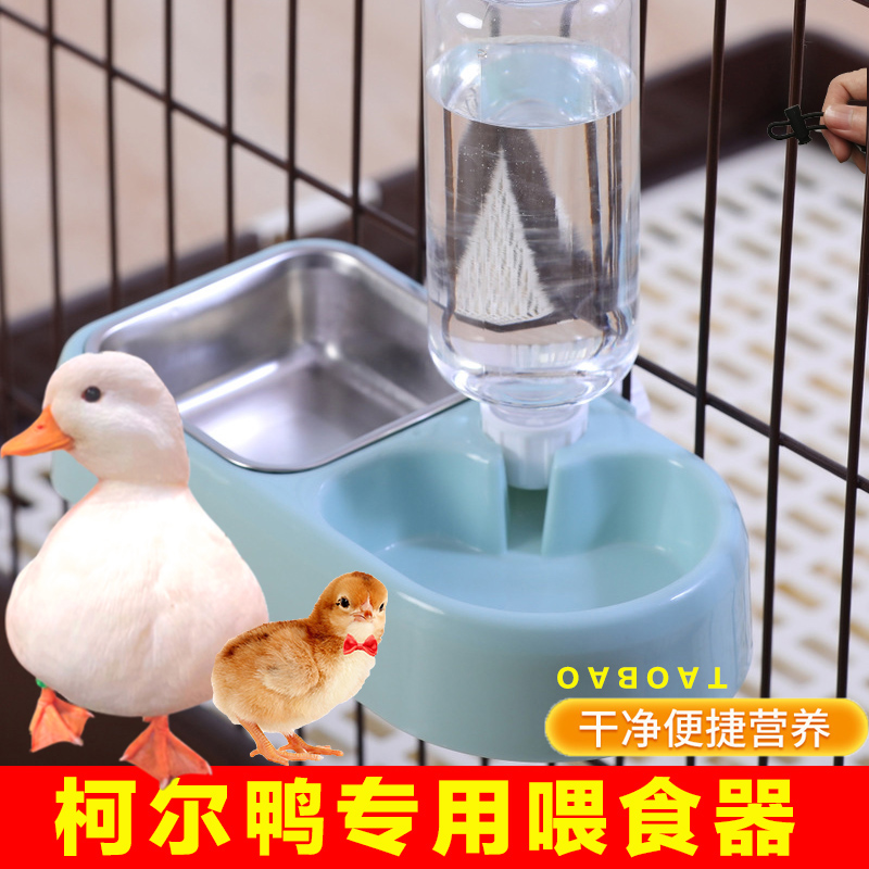 宠物垂耳侏儒兔用品小黄鸭