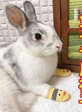 侏儒垂耳兔子专用袜子外出鞋子防抓防脏防挠伤宠物不掉脚套可爱