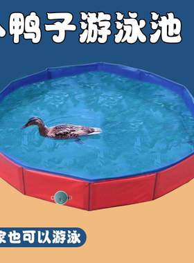 宠物用品宠物小鸭子洗澡盆免充气折叠宠物游泳池鸭子浴盆柯尔鸭夏