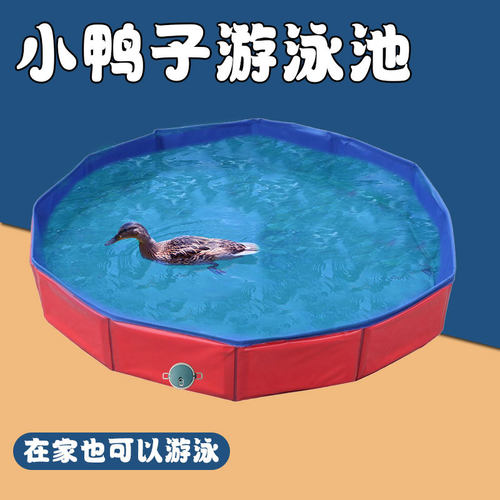 宠物用品小鸭子洗澡盆免充