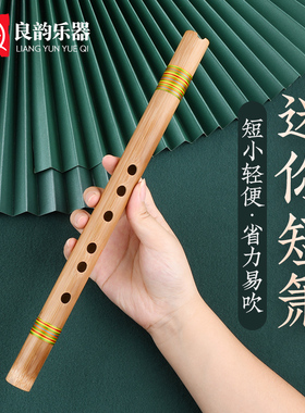 零基础入门洞箫便携苦竹高级短萧迷你小笛子古风六F调初学萧乐器
