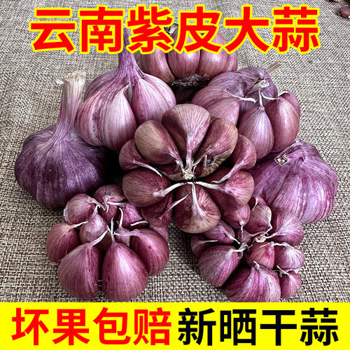 正宗云南紫皮大蒜头农家新干蒜