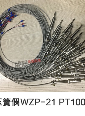 屏蔽压簧热电偶WRE-21PT100型测温线温度传感器优质高温线热电阻
