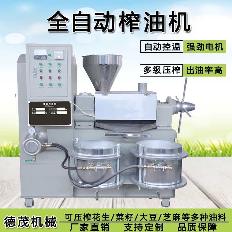 榨油机家用全自动榨油机小型商用全套螺旋榨油机设备大型榨油机械