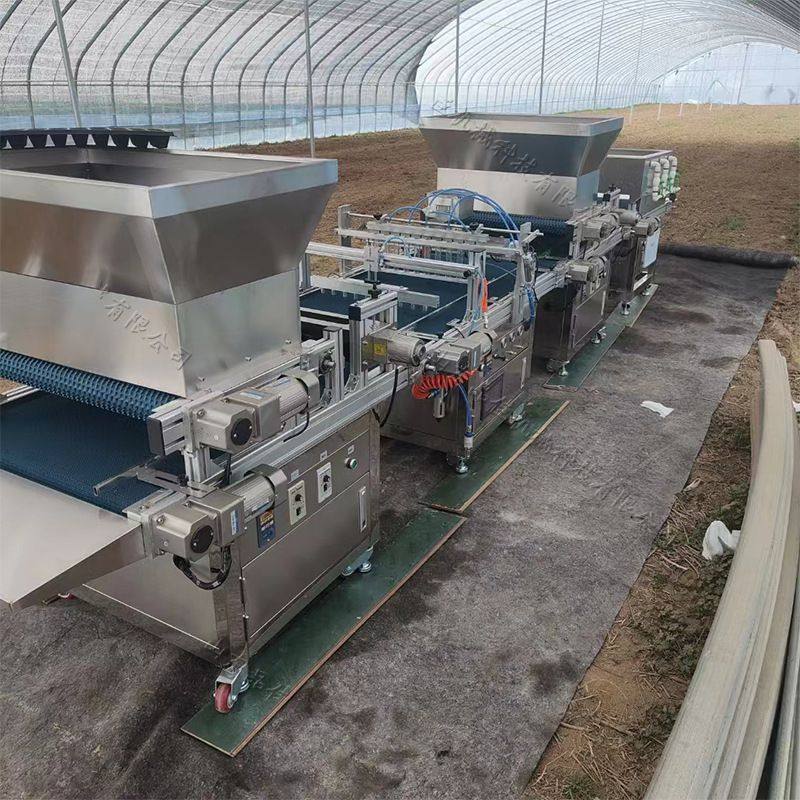 水稻秧盘播种机 自动化水稻育苗机械设备 云南贵州四川蔬菜育苗播,五金/工具,其他包装设备,淘宝优惠券,粉丝福利购,淘宝优惠卷