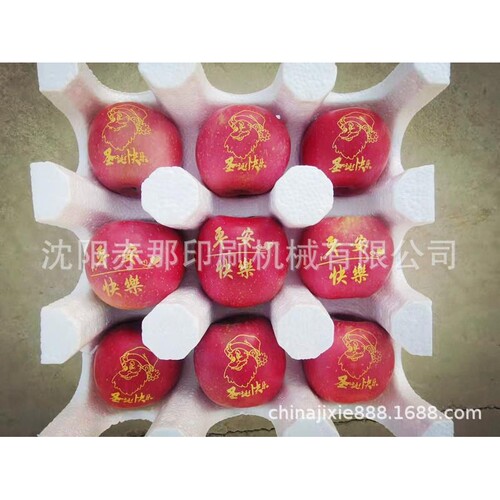 沈阳厂家苹果印字机直销现货 水果上创意图案模板制作 可食用油墨