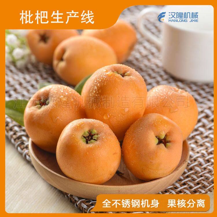 果蔬工业枇杷加工设备整套枇杷膏生产线设备枇杷膏制作机械厂家